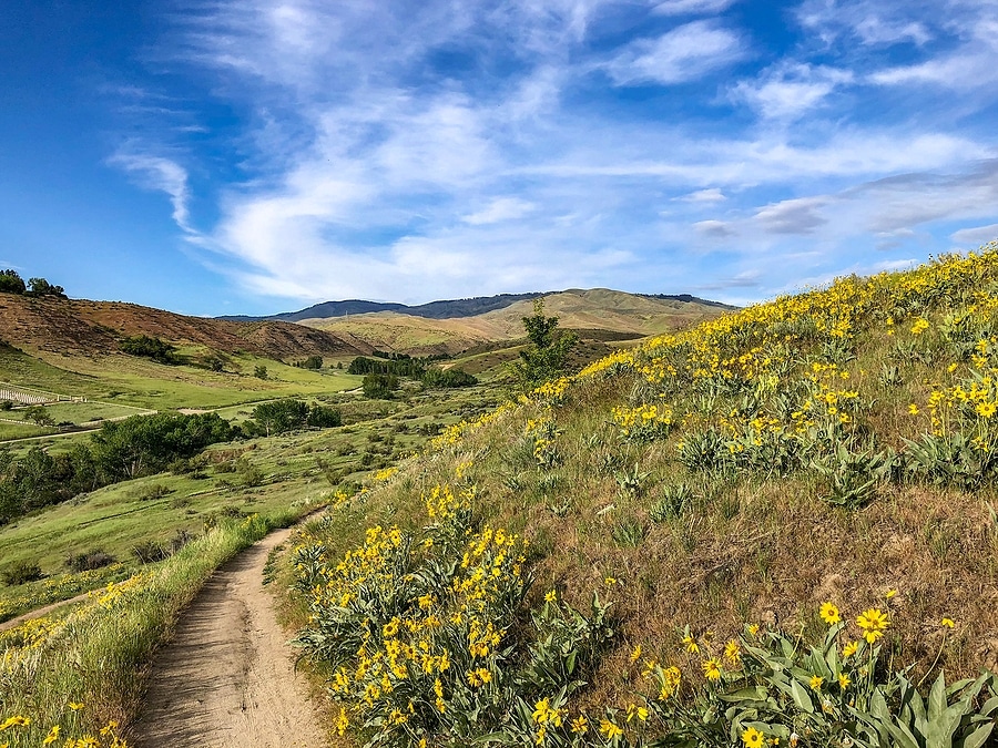 Springtime Off-Roading: Where to Ride in Idaho as the Snow Melts