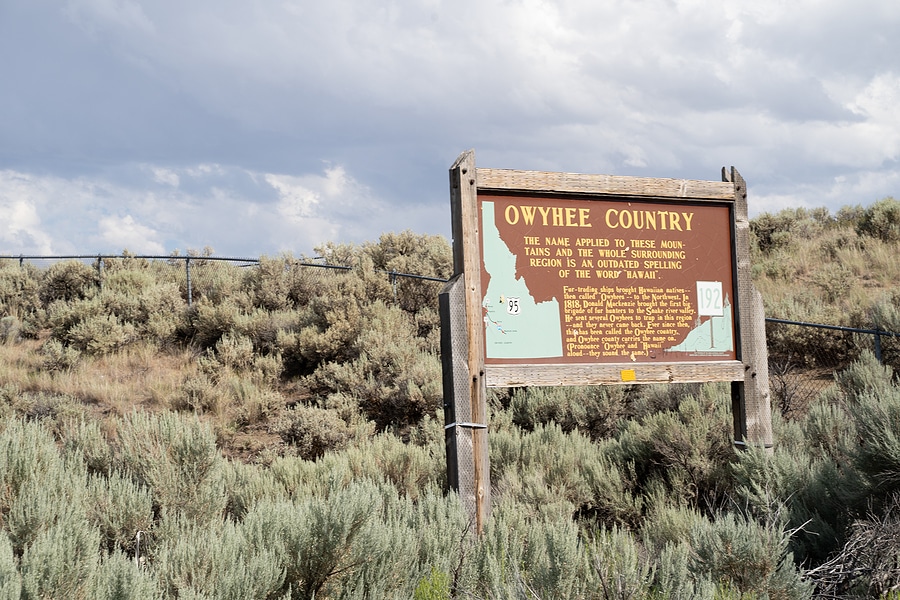 Fall Off-Roading: Scenic ATV Trails for Leaf-Peeping in Idaho