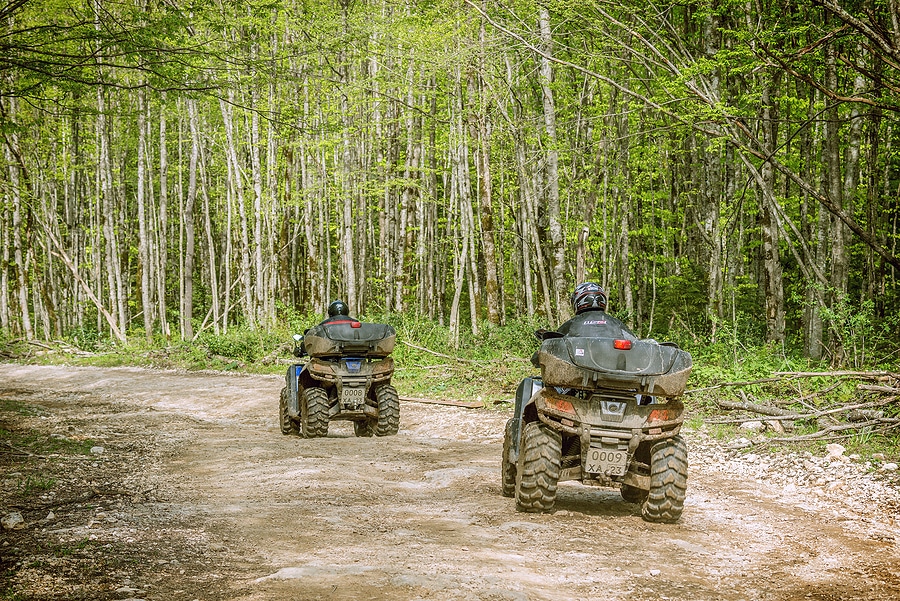 Thanksgiving Outdoor Adventure Ideas Your Family Will Love